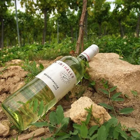 Weinkutscher Lägenhet *