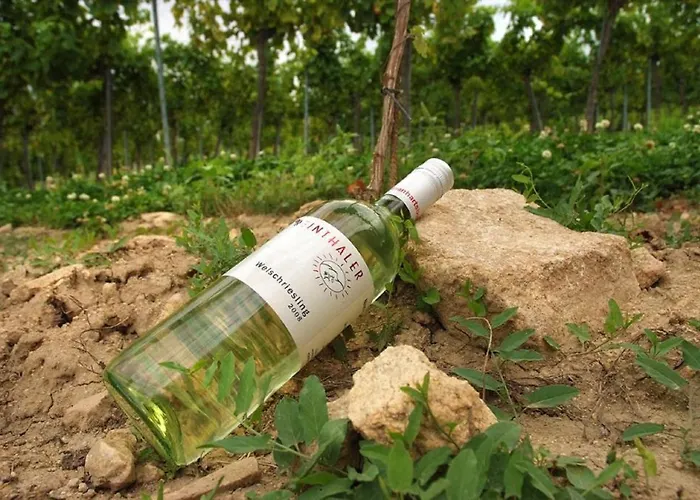 Weinkutscher Apartment *