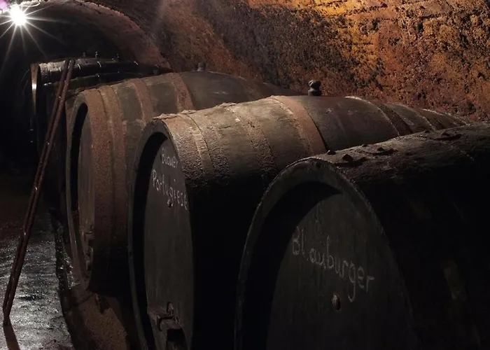 Weinkutscher Apartment